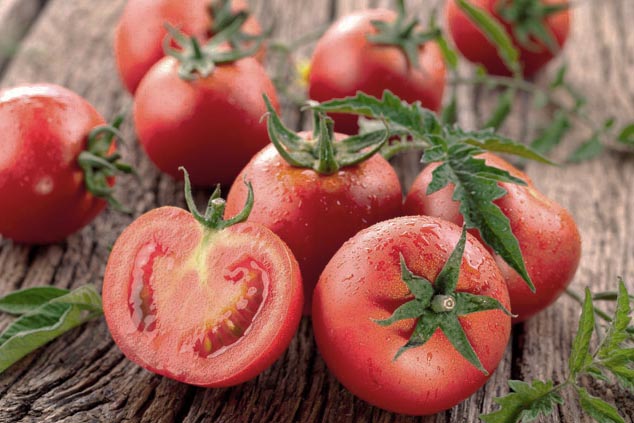 Захист томатів від хвороб