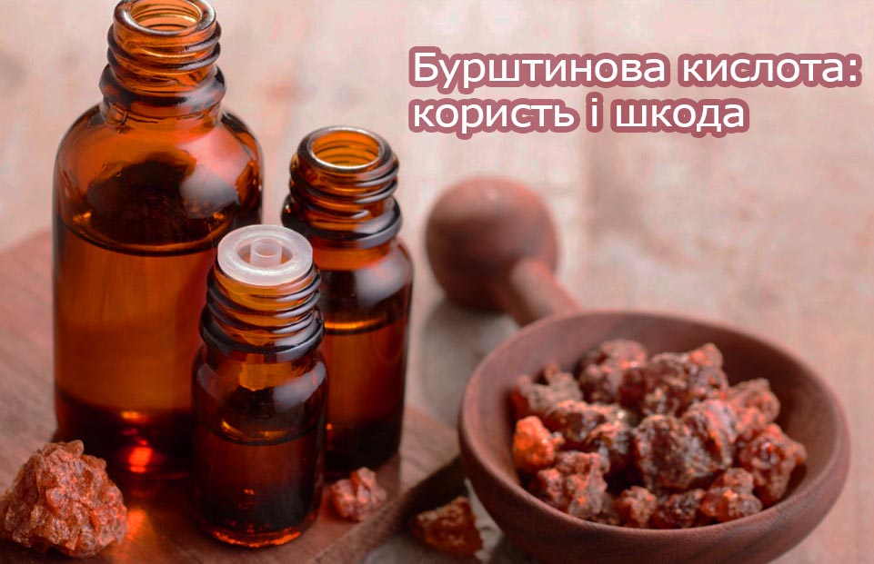 Бурштинова кислота користь і шкода